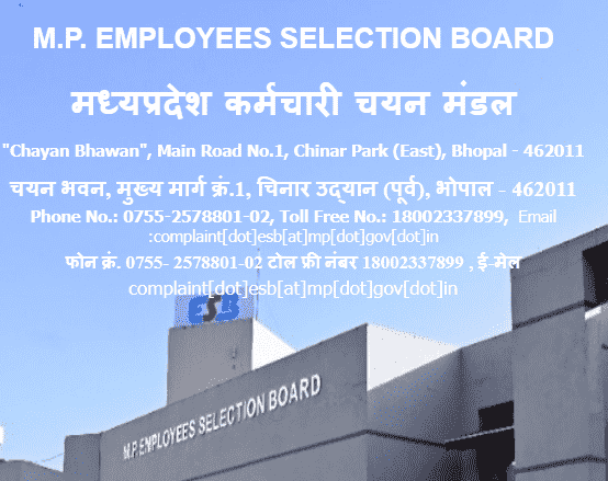MPESB Group 2 Sub Group 3 Vacancy 2025